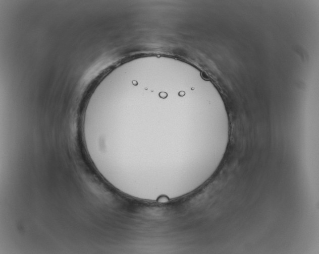 X0000113890344200910221421