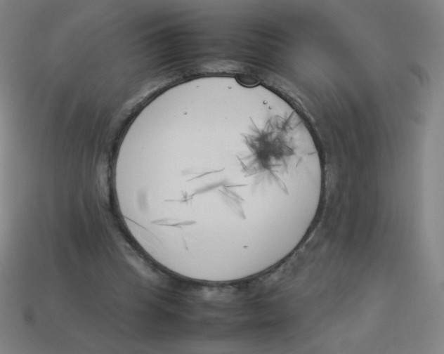X0000113890345200910221421
