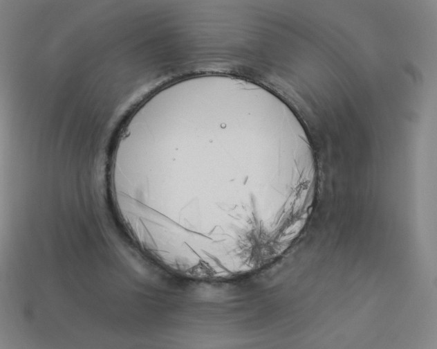 X0000113890346200910221421