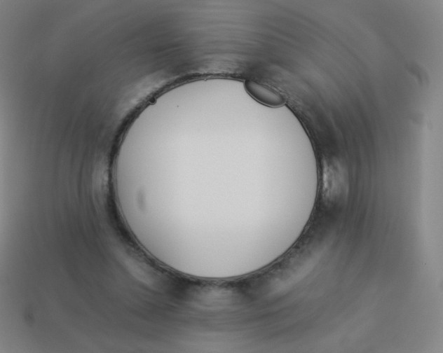 X0000113890348200910221421