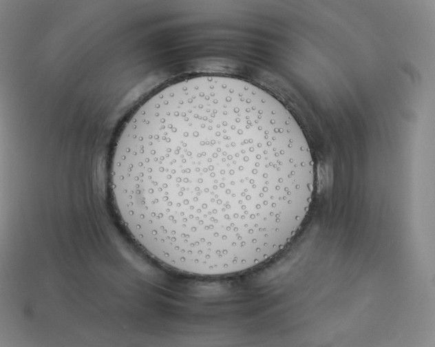 X0000113890349200910221421