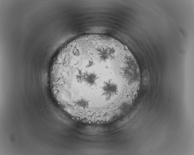 X0000113890351200910221421