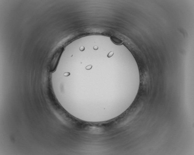 X0000113890352200910221422