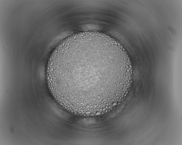 X0000113890353200910221422