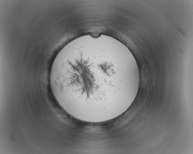 X0000113890354200910221422
