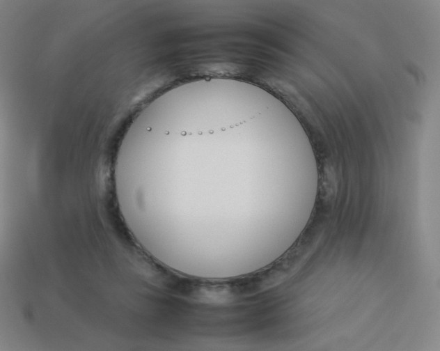 X0000113890355200910221422