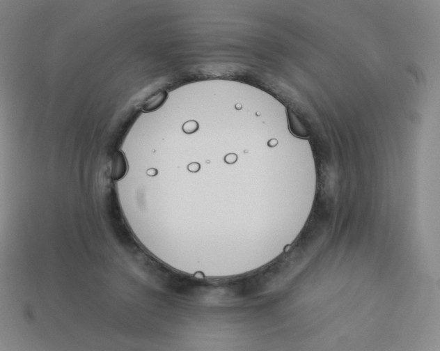 X0000113890356200910221422