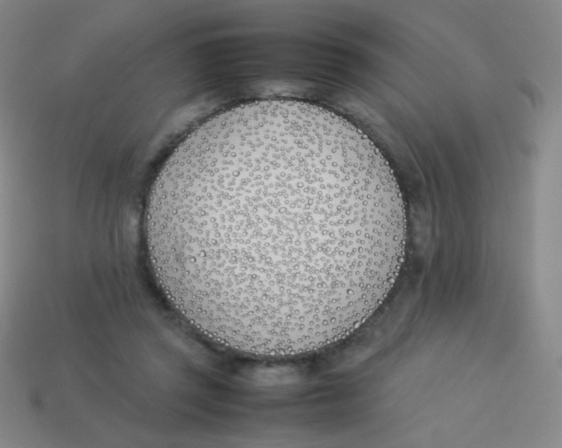 X0000113890357200910221422