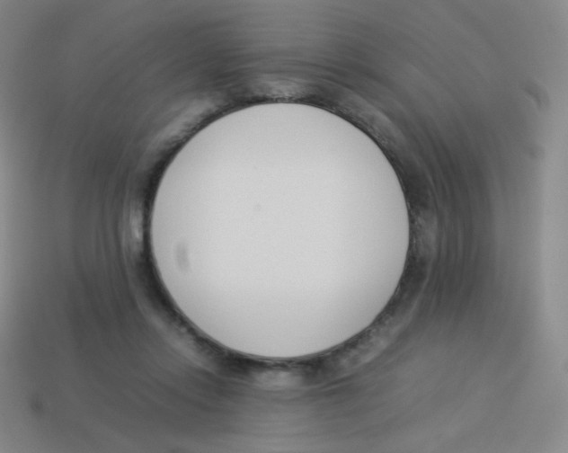 X0000113890358200910221422