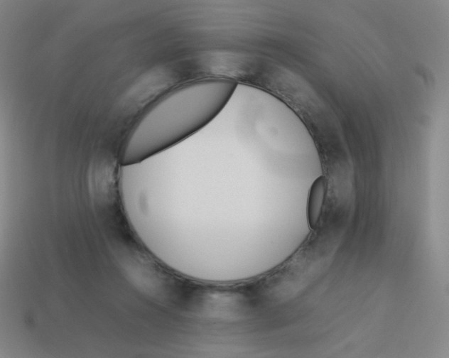 X0000113890360200910221422