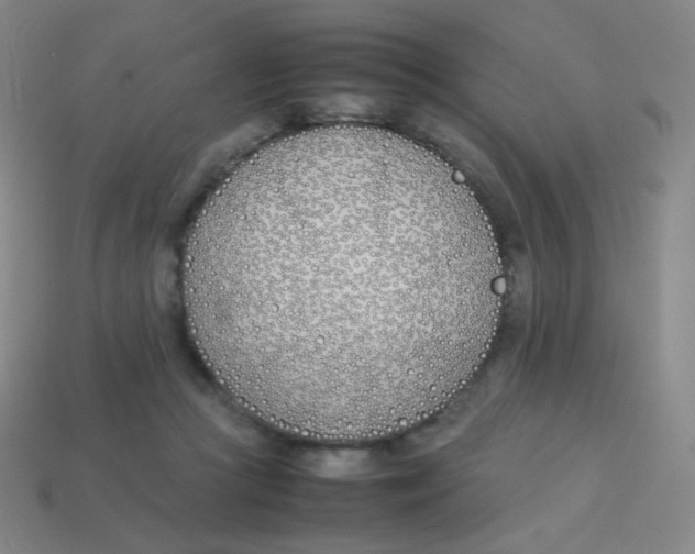 X0000113890361200910221422