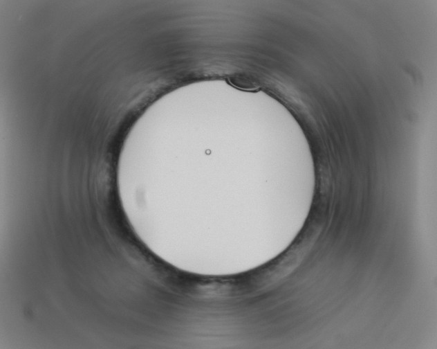 X0000113890362200910221422