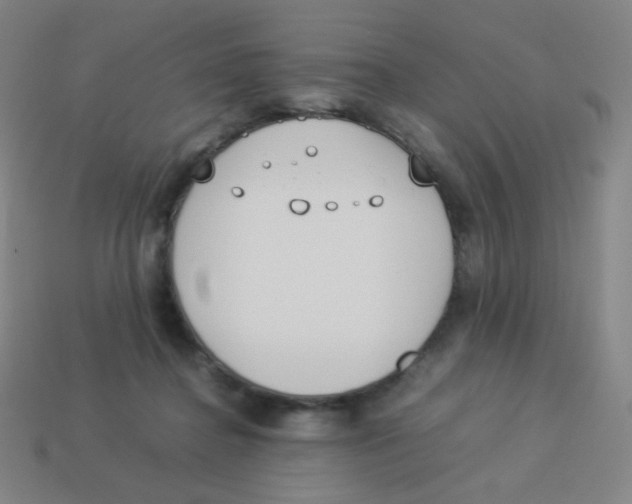 X0000113890364200910221422