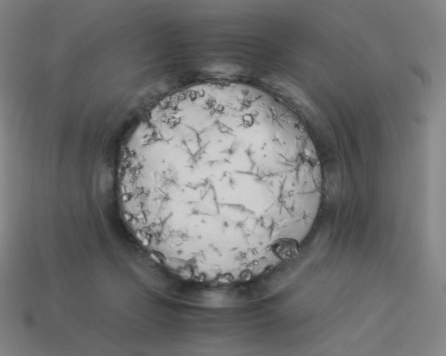 X0000113890365200910221422
