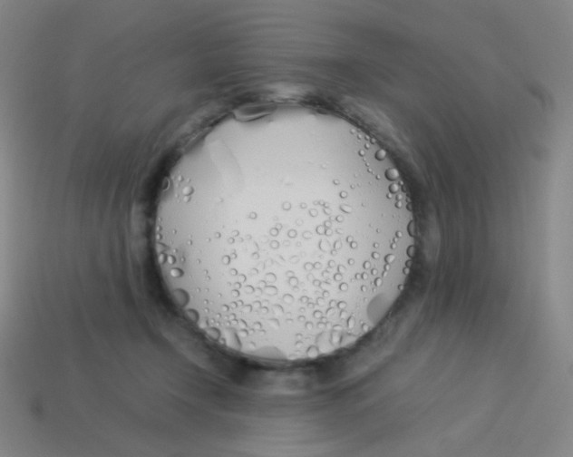 X0000113890366200910221422