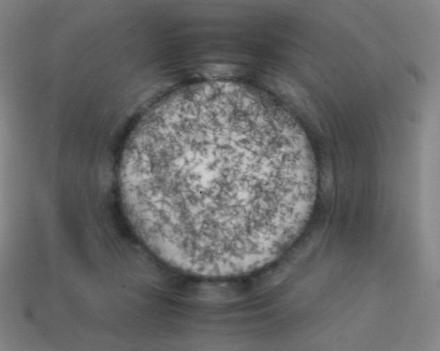 X0000113890367200910221422
