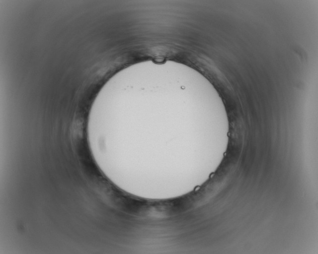 X0000113890368200910221422