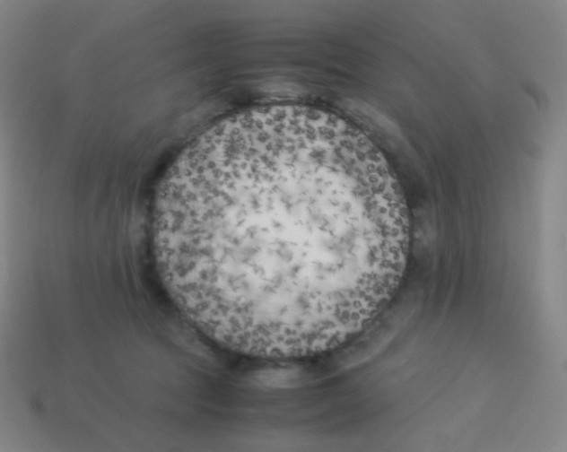 X0000113890369200910221422