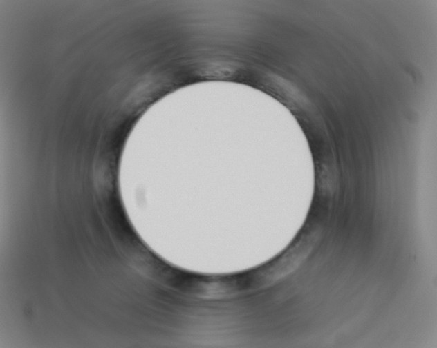 X0000113890370200910221422