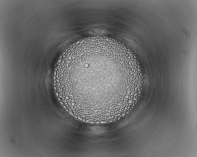 X0000113890371200910221422