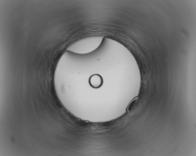 X0000113890372200910221422