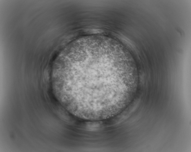 X0000113890373200910221422