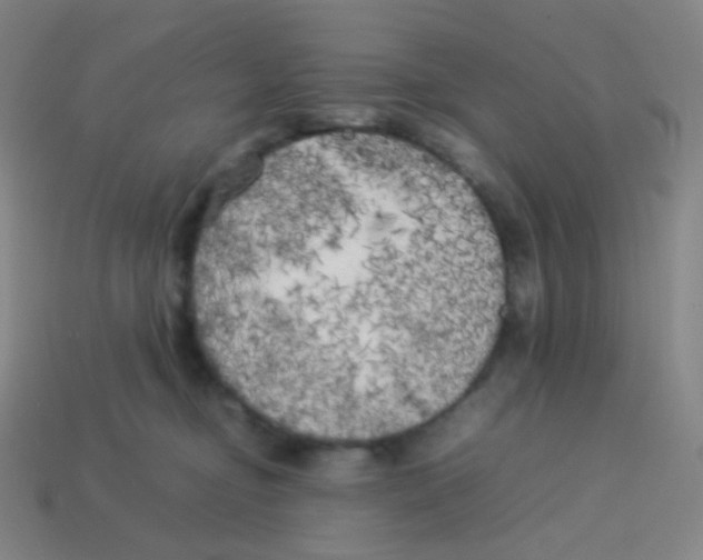 X0000113890374200910221422