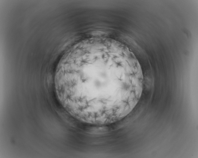 X0000113890375200910221422