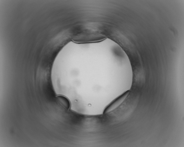 X0000113890376200910221422
