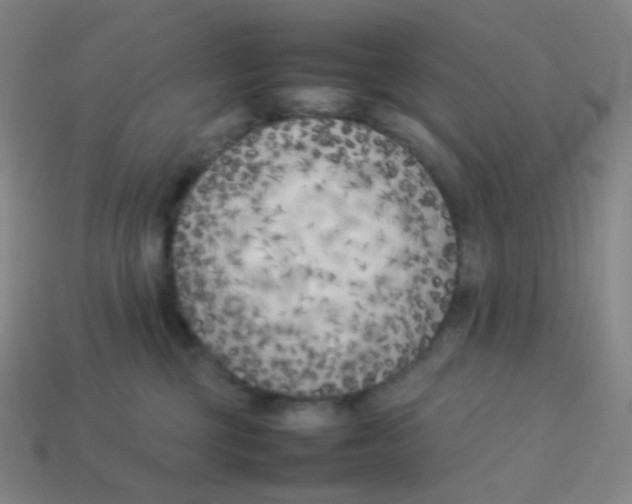 X0000113890377200910221422