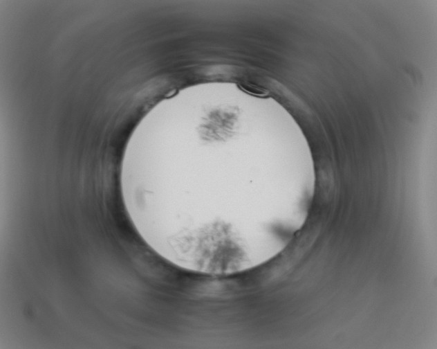 X0000113890379200910221422