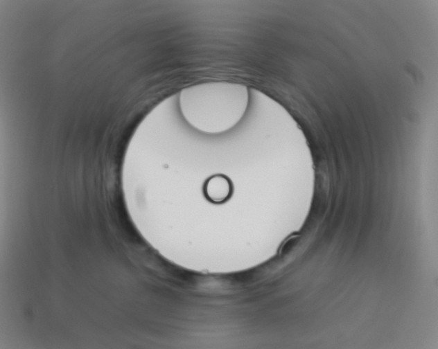X0000113890380200910221422