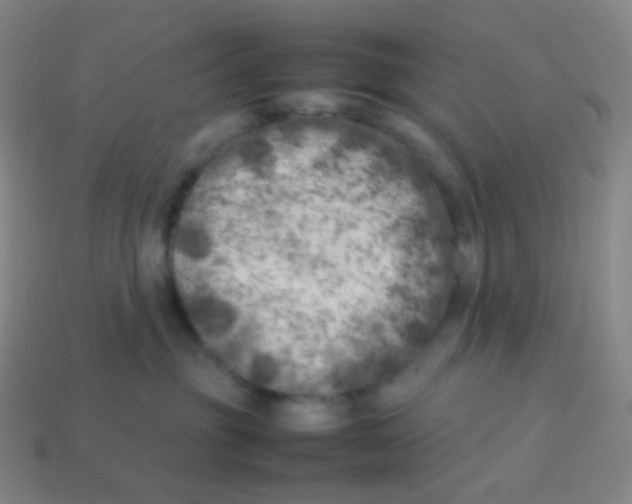 X0000113890381200910221422