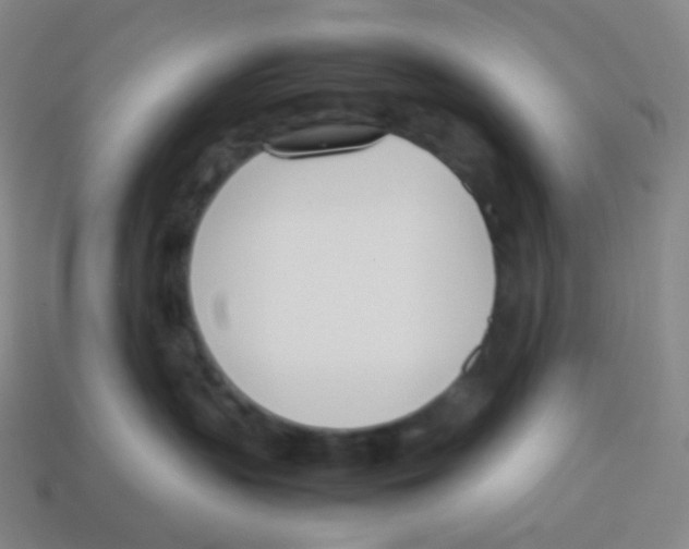 X0000113890383200910221422