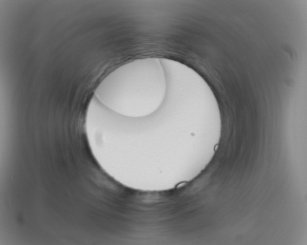 X0000113890384200910221422