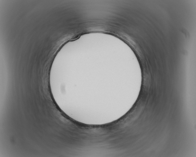 X0000113890385200910221421