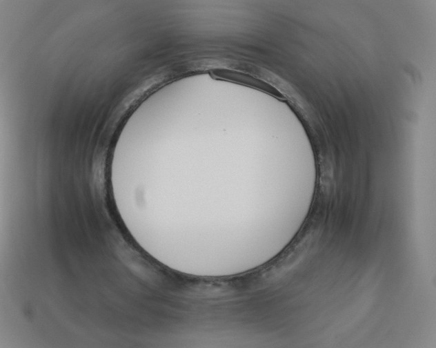 X0000113890386200910221421