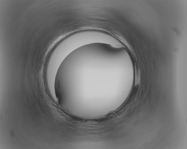 X0000113890387200910221421