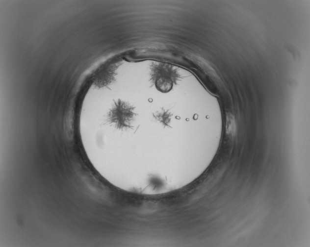 X0000113890388200910221421