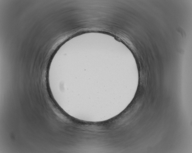 X0000113890389200910221421