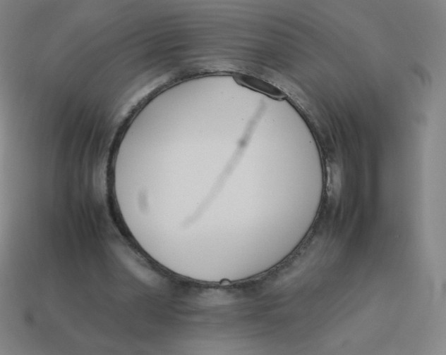 X0000113890390200910221421