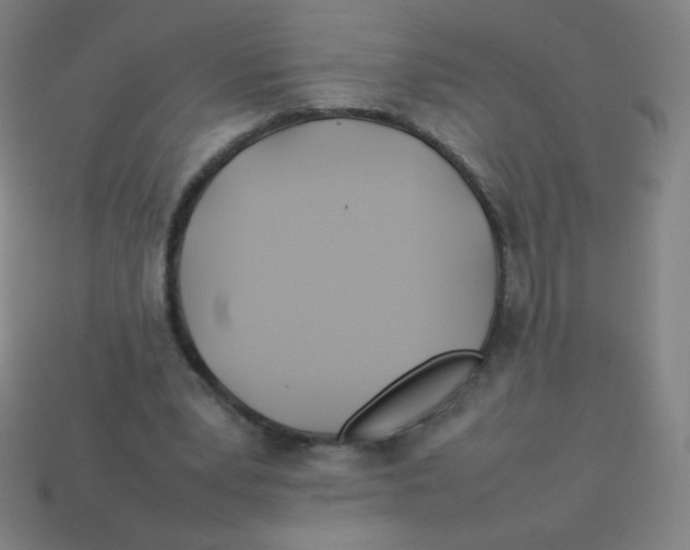 X0000113890391200910221421