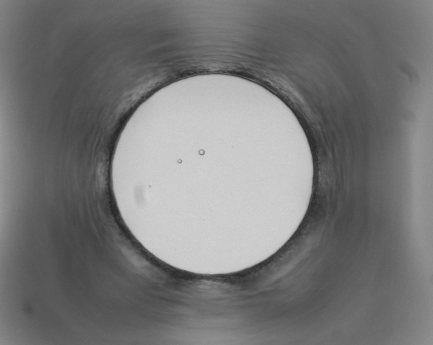 X0000113890393200910221421