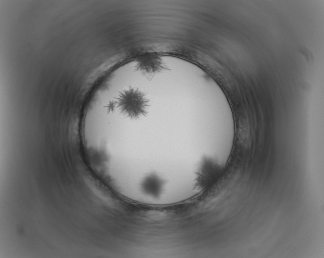 X0000113890394200910221421