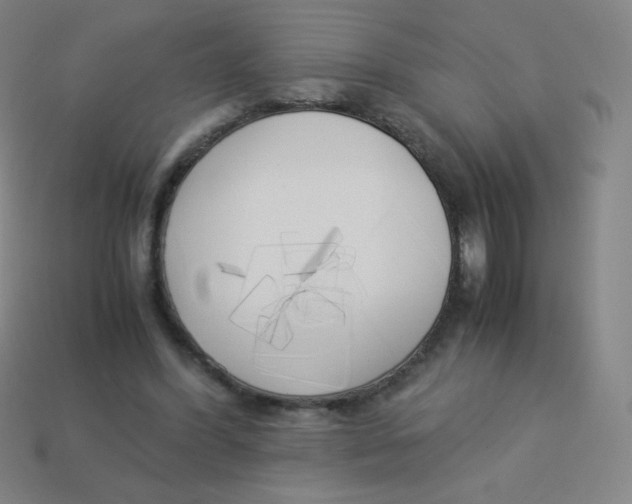 X0000113890396200910221421
