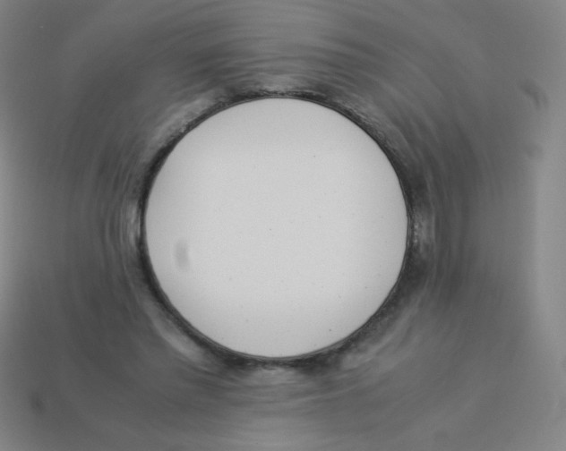 X0000113890397200910221421