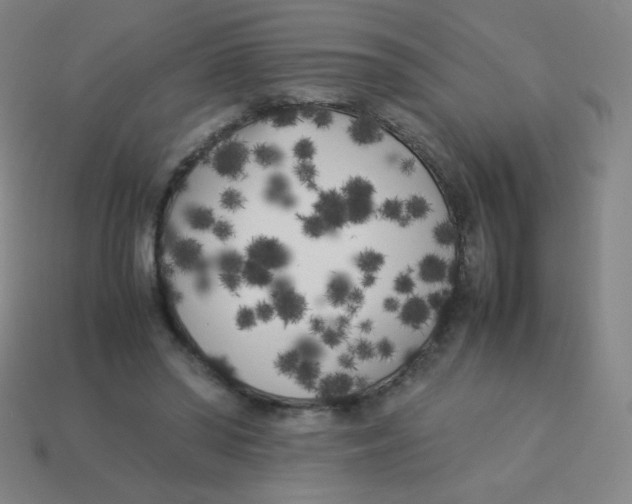 X0000113890398200910221421