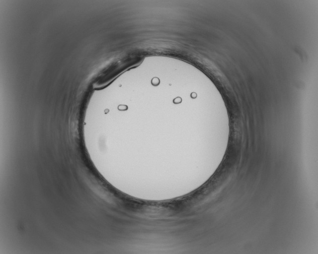 X0000113890399200910221421