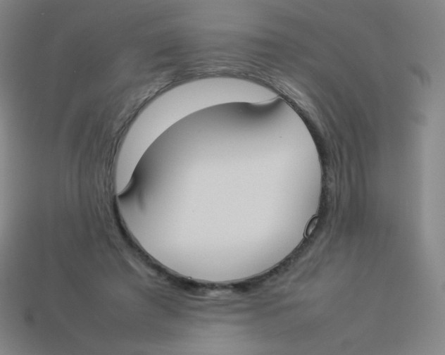 X0000113890401200910221421