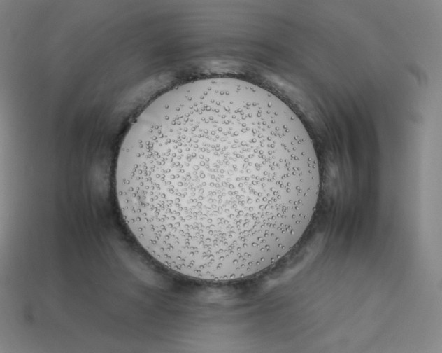 X0000113890402200910221421